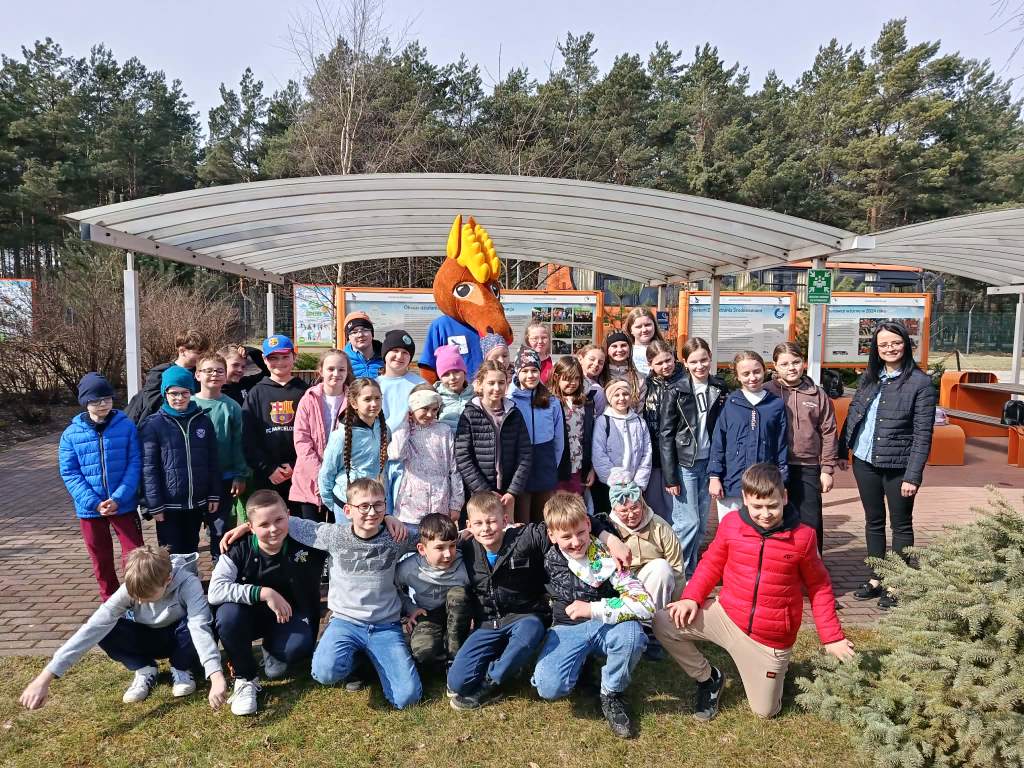 Jak prawidłowo segregować odpady oraz dbać o środowisko i czyste powietrze