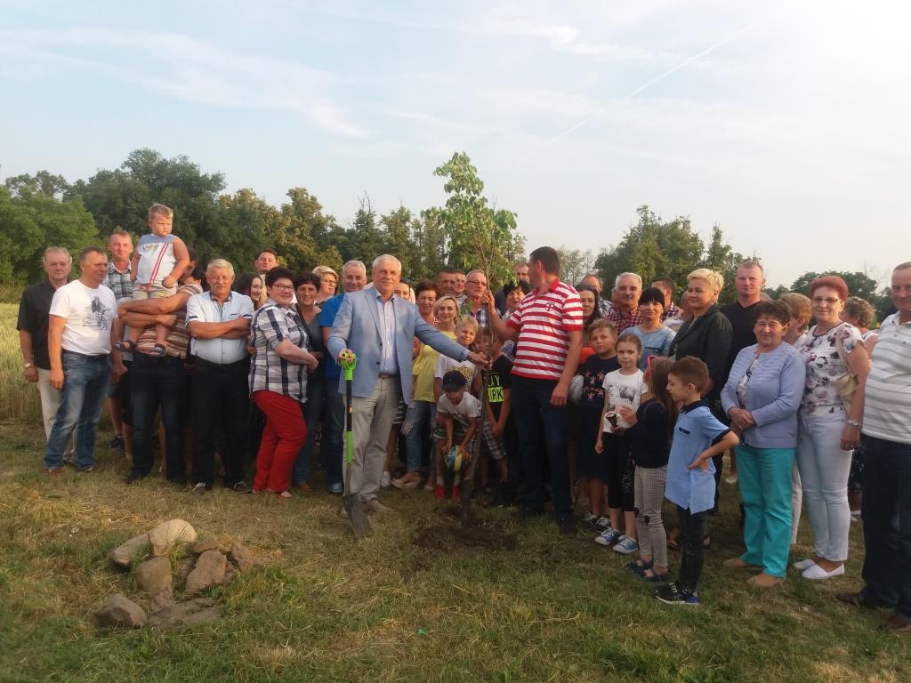 Z myślą o pszczelarzach