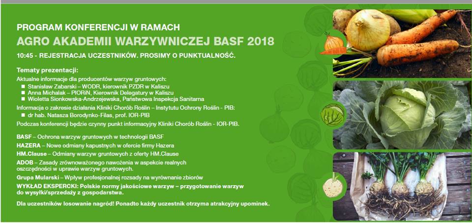 Konferencja dla producentów warzyw gruntowych