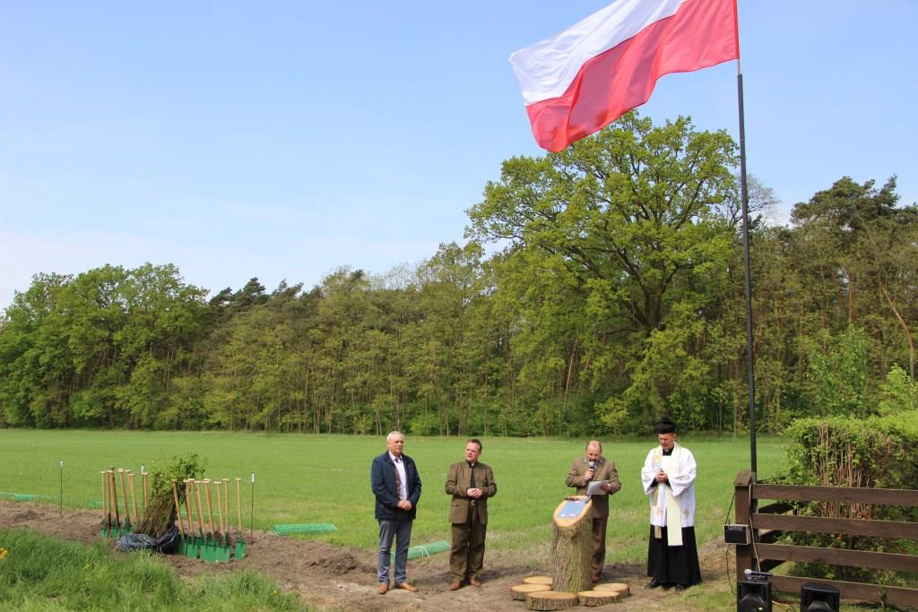 Lipowa „Aleja Wolności” w Brudzewie